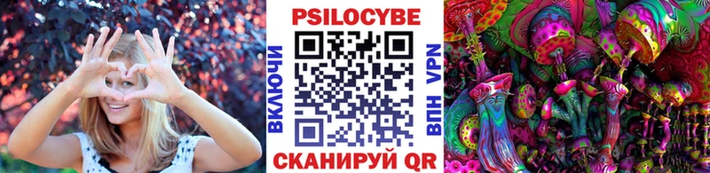 Псилоцибиновые грибы мухоморы  darknet какой сайт  Инсар  купить наркотики цена 